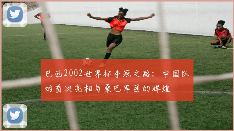巴西2002世界杯夺冠之路：中国队的首次亮相与桑巴军团的辉煌