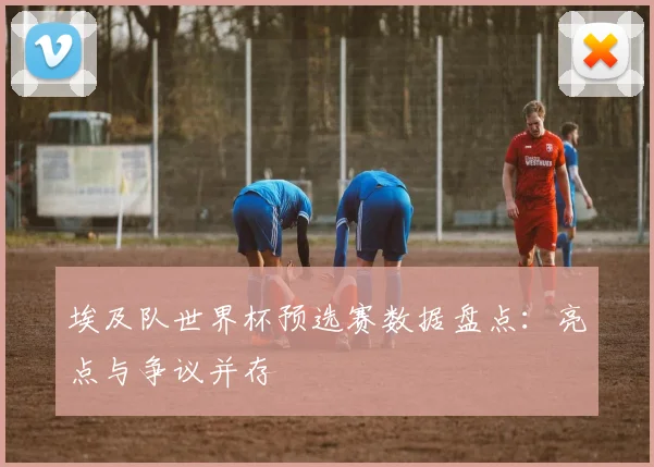埃及队世界杯预选赛数据盘点：亮点与争议并存