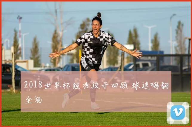 2018世界杯经典段子回顾 球迷嗨翻全场