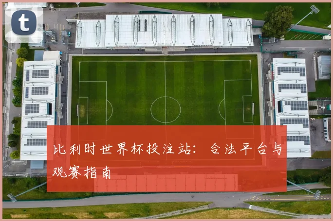 比利时世界杯投注站：合法平台与观赛指南
